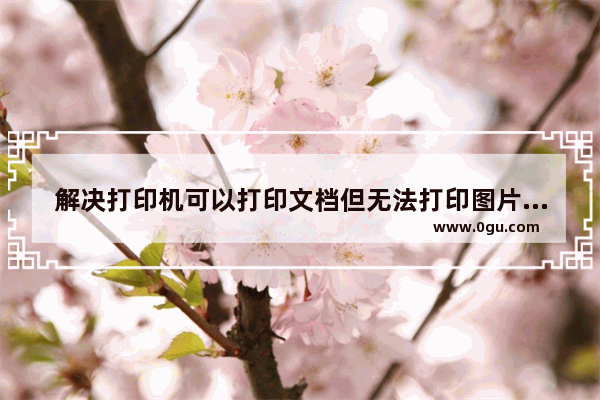 解决打印机可以打印文档但无法打印图片的问题   处理电脑打印机无法打印图片的方法