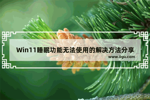 Win11睡眠功能无法使用的解决方法分享