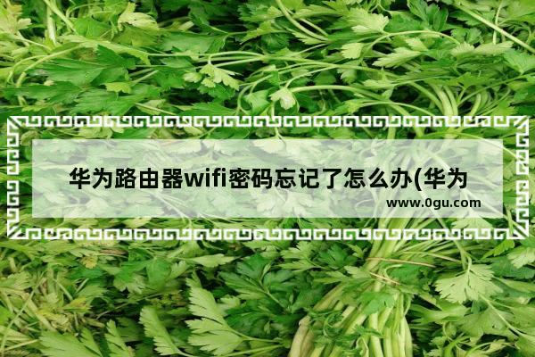 华为路由器wifi密码忘记了怎么办(华为无线wifi用户名和密码)