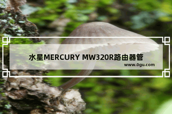 水星MERCURY MW320R路由器管理员默认密码是什么?