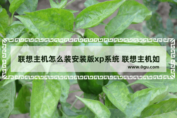 联想主机怎么装安装版xp系统 联想主机如何装系统
