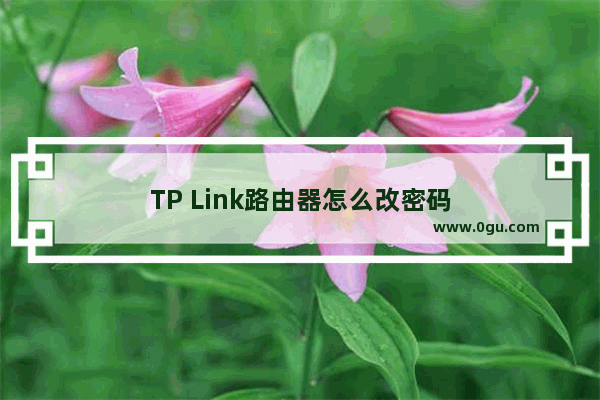 TP Link路由器怎么改密码