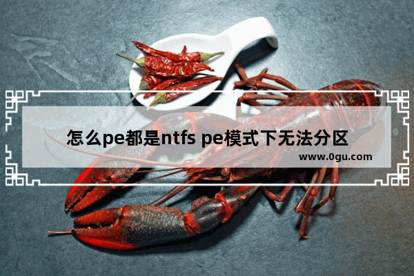 怎么pe都是ntfs pe模式下无法分区