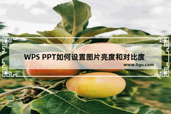 WPS PPT如何设置图片亮度和对比度 WPS PPT设置图片亮度和对比度的方法