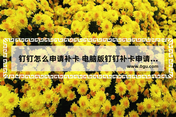 钉钉怎么申请补卡 电脑版钉钉补卡申请的操作方法