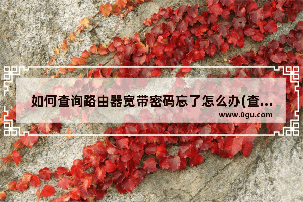 如何查询路由器宽带密码忘了怎么办(查看路由器的宽带密码)