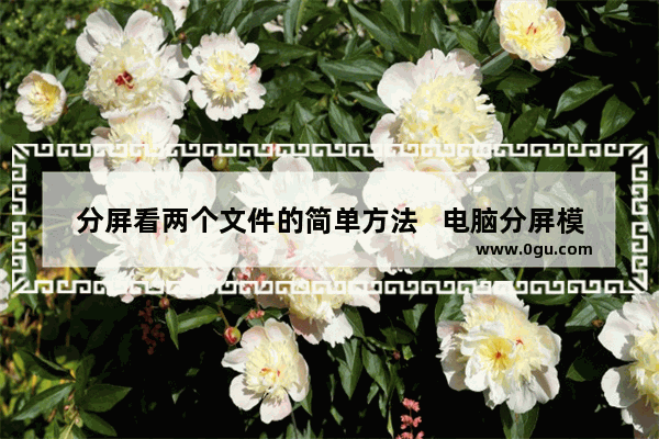 分屏看两个文件的简单方法   电脑分屏模式怎么开启