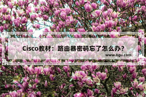 Cisco教材：路由器密码忘了怎么办？