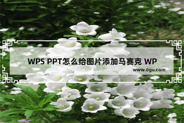 WPS PPT怎么给图片添加马赛克 WPS PPT对图片进行马赛克设置的方法
