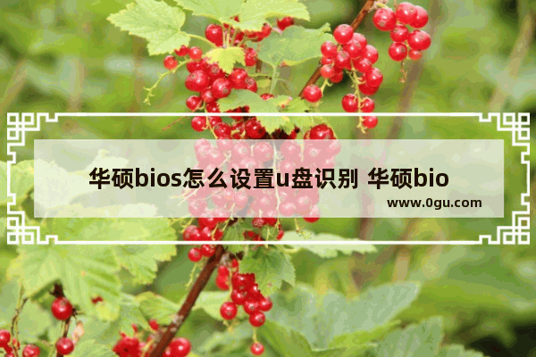 华硕bios怎么设置u盘识别 华硕bios怎么选择u盘