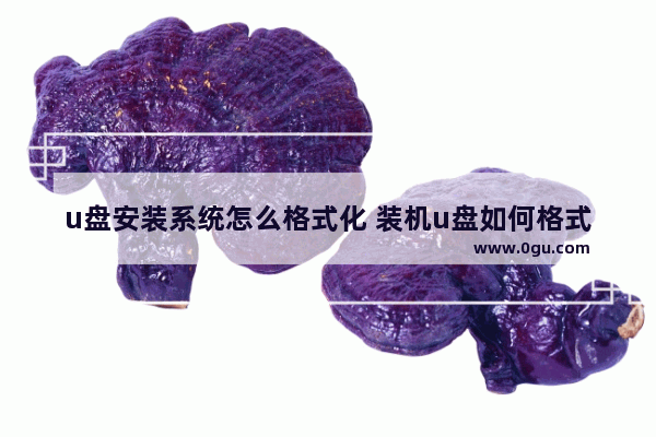 u盘安装系统怎么格式化 装机u盘如何格式化