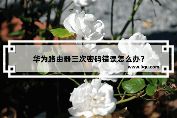 华为路由器三次密码错误怎么办？