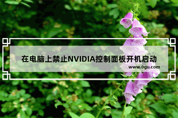 在电脑上禁止NVIDIA控制面板开机启动的方法   处理NVIDIA控制面板开机启动的方法