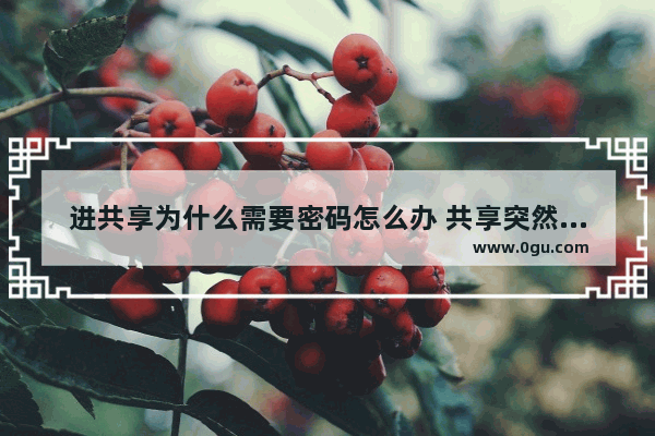 进共享为什么需要密码怎么办 共享突然要登用户名和密码