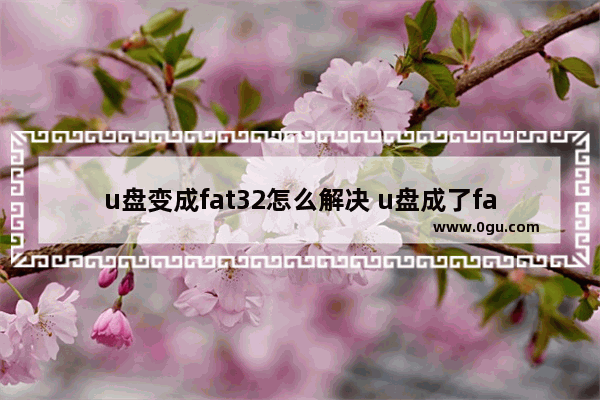 u盘变成fat32怎么解决 u盘成了fat32