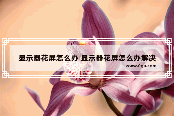 显示器花屏怎么办 显示器花屏怎么办解决