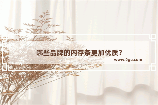 哪些品牌的内存条更加优质？