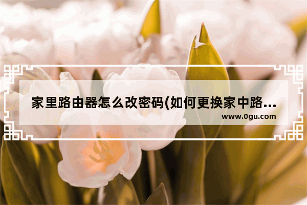 家里路由器怎么改密码(如何更换家中路由器密码)