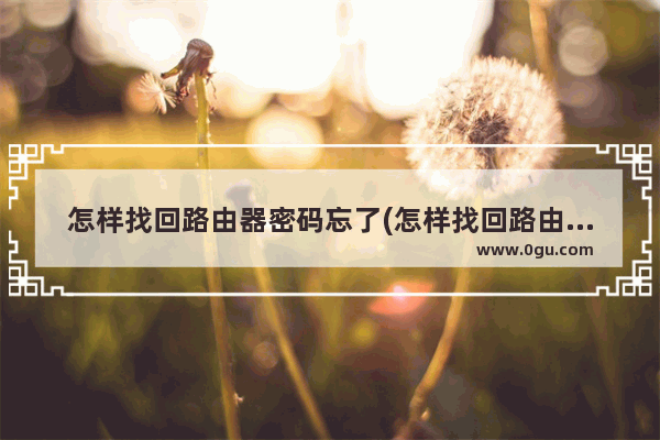 怎样找回路由器密码忘了(怎样找回路由器wifi密码)