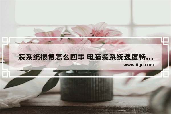 装系统很慢怎么回事 电脑装系统速度特别慢
