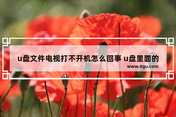 u盘文件电视打不开机怎么回事 u盘里面的电视剧无法打开