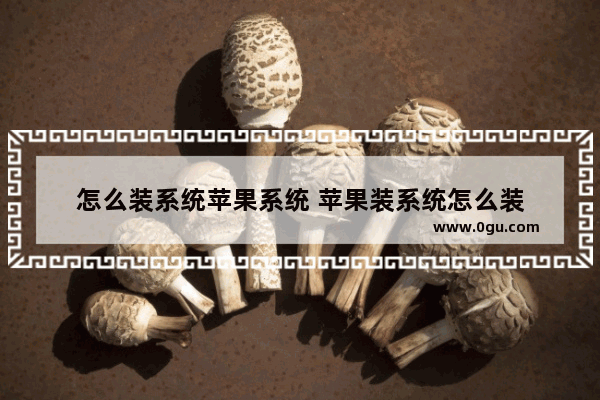 怎么装系统苹果系统 苹果装系统怎么装