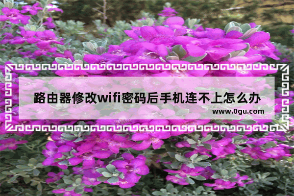 路由器修改wifi密码后手机连不上怎么办(路由器更改密码后手机连不上网)