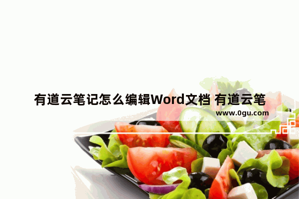 有道云笔记怎么编辑Word文档 有道云笔记编辑Word文档的方法