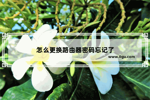 怎么更换路由器密码忘记了