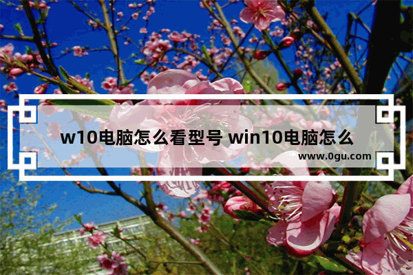 w10电脑怎么看型号 win10电脑怎么看型号