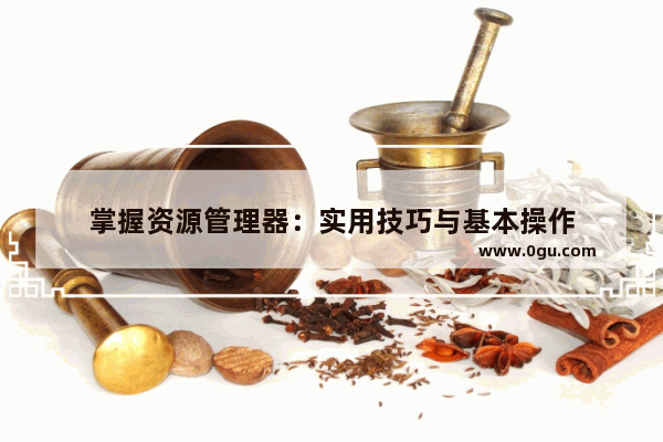 掌握资源管理器：实用技巧与基本操作