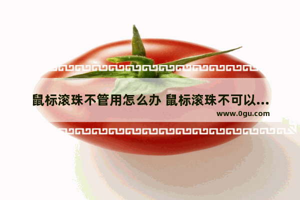 鼠标滚珠不管用怎么办 鼠标滚珠不可以翻动