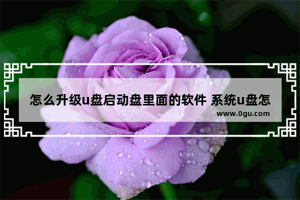 怎么升级u盘启动盘里面的软件 系统u盘怎么升级