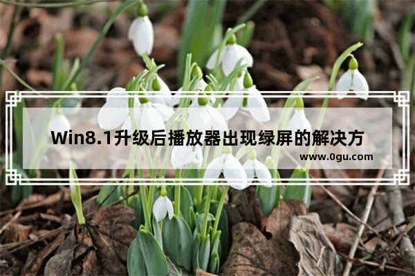 Win8.1升级后播放器出现绿屏的解决方法