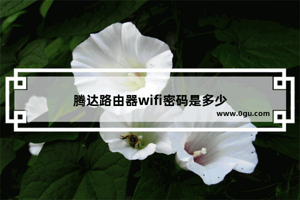 腾达路由器wifi密码是多少