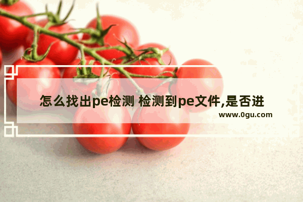 怎么找出pe检测 检测到pe文件,是否进行回写