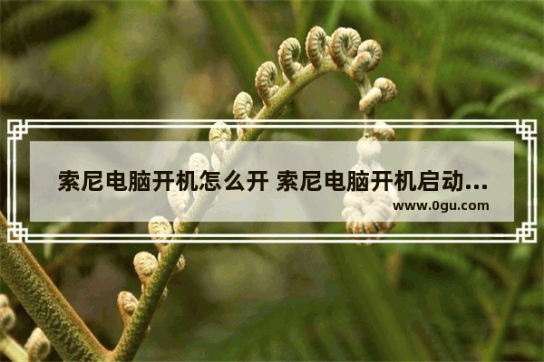 索尼电脑开机怎么开 索尼电脑开机启动项快捷键