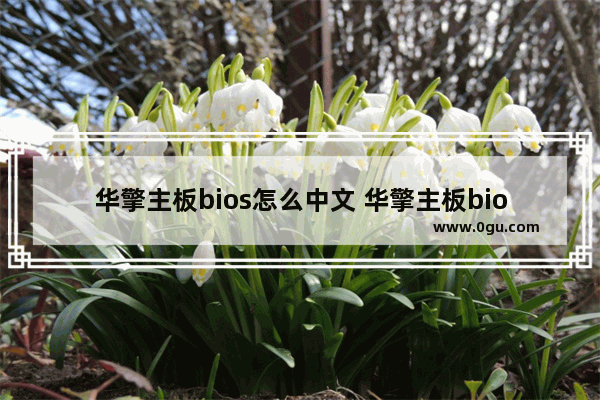 华擎主板bios怎么中文 华擎主板bios中文怎么关F1