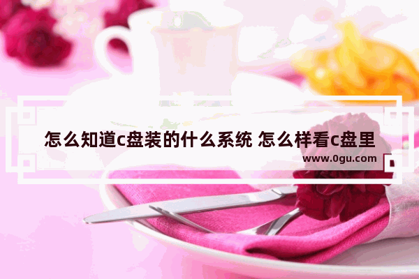 怎么知道c盘装的什么系统 怎么样看c盘里装了些什么