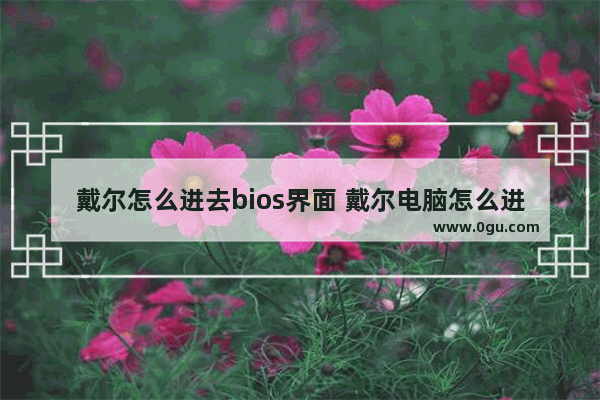 戴尔怎么进去bios界面 戴尔电脑怎么进去bios界面