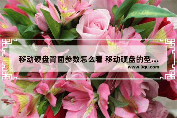 移动硬盘背面参数怎么看 移动硬盘的型号在哪里?