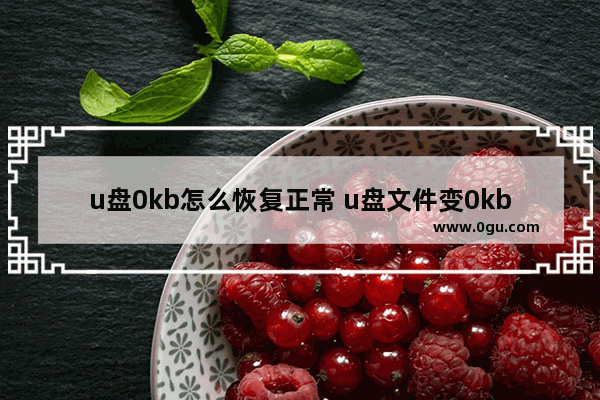 u盘0kb怎么恢复正常 u盘文件变0kb了怎么恢复