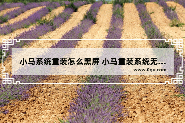 小马系统重装怎么黑屏 小马重装系统无限重启