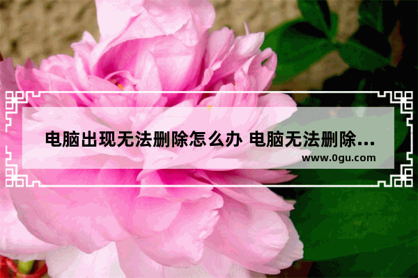 电脑出现无法删除怎么办 电脑无法删除文件怎么回事