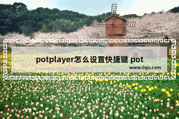 potplayer怎么设置快捷键 potplayer设置快捷键的方法