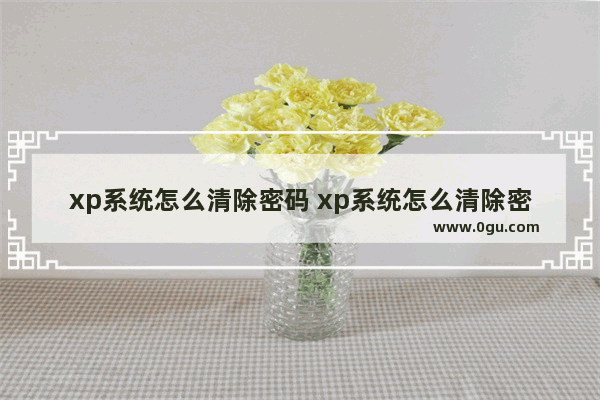 xp系统怎么清除密码 xp系统怎么清除密码界面