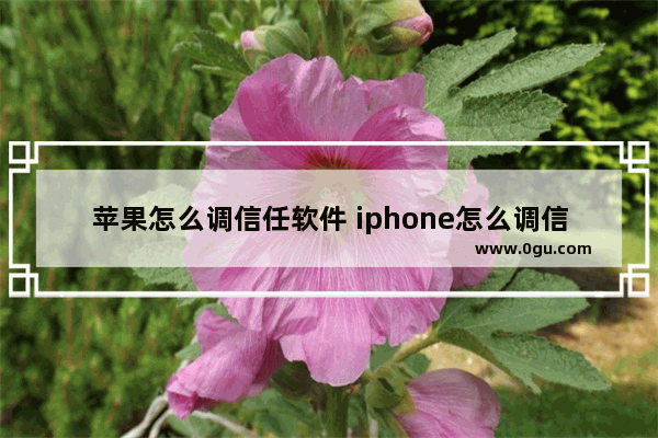 苹果怎么调信任软件 iphone怎么调信任软件