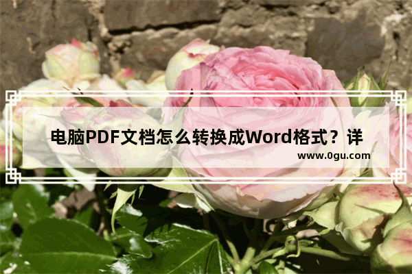 电脑PDF文档怎么转换成Word格式？详解操作方法！