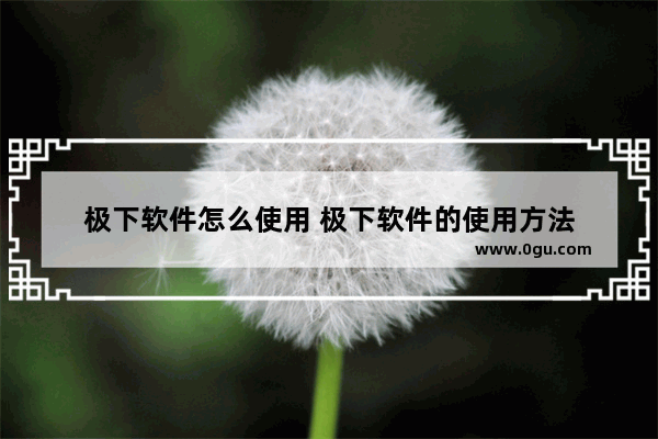 极下软件怎么使用 极下软件的使用方法
