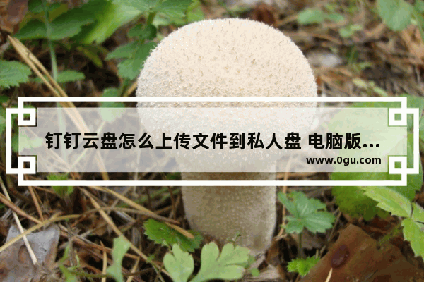 钉钉云盘怎么上传文件到私人盘 电脑版钉钉云盘上传文件到私人盘的方法